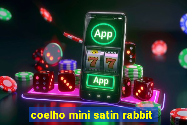 coelho mini satin rabbit